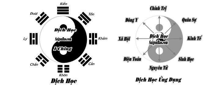 dich-ung-dung